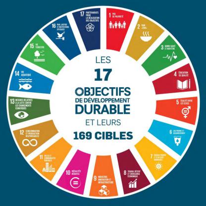 Stratégie RSE / Développement durable